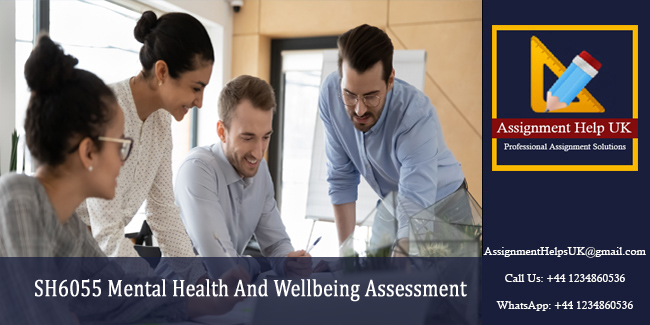 SH6055 Mental Health And Wellbeing Assessment 