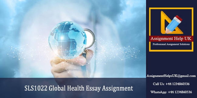 SLS1022 Global Health Essay Assignment 