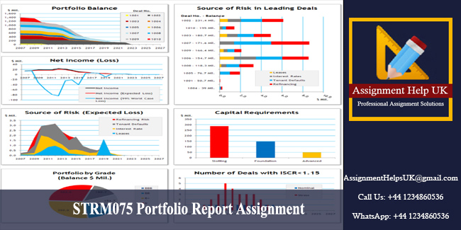 STRM075 Portfolio Report Assignment 