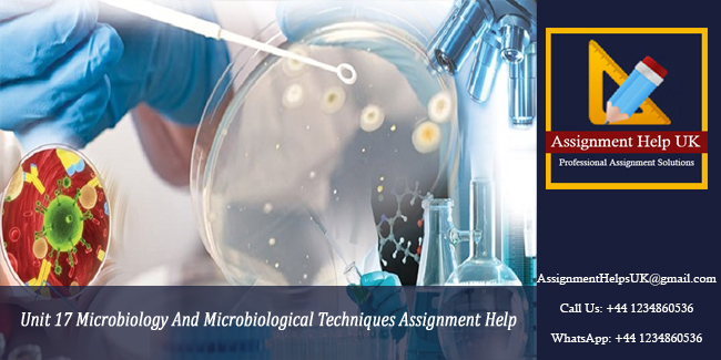 Unit 17 Microbiology And Microbiological Techniques Assignment 
