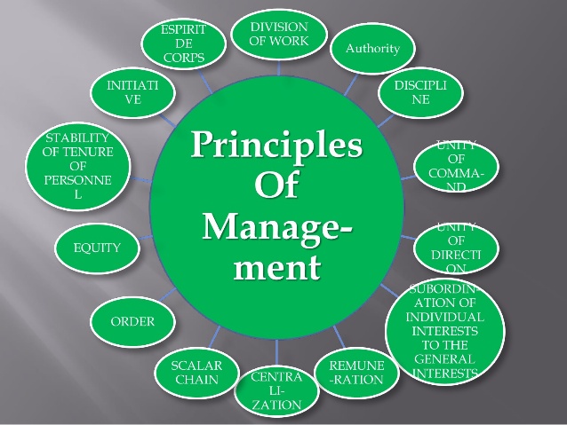 CMI501 The Principles Of Management And Leadership Organizational